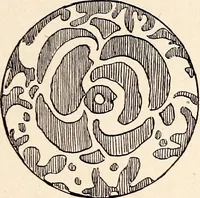 An illustration from Clothing and health (1916)