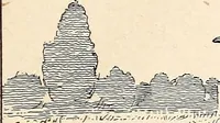 Picture 2 of 150 from Clothing and health (1916), leaf 14