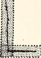 An illustration from Clothing and health (1916)