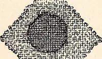 An illustration from Clothing and health (1916)
