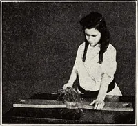 An illustration from Clothing and health (1916)