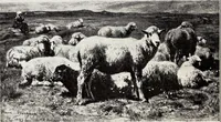 An illustration from Clothing and health (1916)
