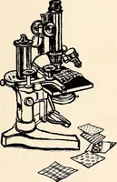 An illustration from Clothing and health (1916)