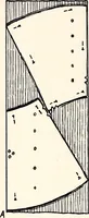 An illustration from Clothing and health (1916)