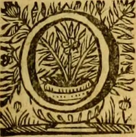An illustration from Cl. viri Petri Peckii Ziricæi olim in academia lovaniensi iuris professoris, in magno senatu belgico consiliarii : Opera omnia (1666)