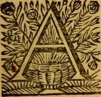 An illustration from Cl. viri Petri Peckii Ziricæi olim in academia lovaniensi iuris professoris, in magno senatu belgico consiliarii : Opera omnia (1666)