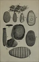 An illustration from The Clyde mystery : a study in forgeries and folklore (1905)