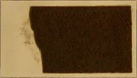 An illustration from The coal tar colours of Farbwerke vorm. Meister, Lucius & Brüning, Hoechst on Main, Germany, and their application in wool dyeing (1910)