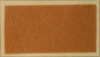 An illustration from The coal tar colours of Farbwerke vorm. Meister, Lucius & Brüning, Hoechst on Main, Germany, and their application in wool dyeing (1910)