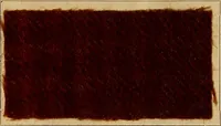 An illustration from The coal tar colours of Farbwerke vorm. Meister, Lucius & Brüning, Hoechst on Main, Germany, and their application in wool dyeing (1910)