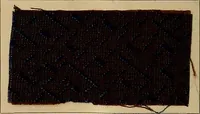 An illustration from The coal tar colours of Farbwerke vorm. Meister, Lucius & Brüning, Hoechst on Main, Germany, and their application in wool dyeing (1910)