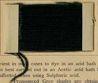 An illustration from The coal tar colours of Farbwerke vorm. Meister, Lucius & Brüning, Hoechst on Main, Germany, and their application in wool dyeing (1910)
