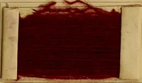 An illustration from The coal tar colours of Farbwerke vorm. Meister, Lucius & Brüning, Hoechst on Main, Germany, and their application in wool dyeing (1910)