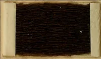 An illustration from The coal tar colours of Farbwerke vorm. Meister, Lucius & Brüning, Hoechst on Main, Germany, and their application in wool dyeing (1910)
