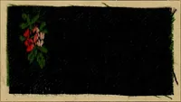 An illustration from The coal tar colours of Farbwerke vorm. Meister, Lucius & Brüning, Hoechst on Main, Germany, and their application in wool dyeing (1910)