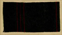 An illustration from The coal tar colours of Farbwerke vorm. Meister, Lucius & Brüning, Hoechst on Main, Germany, and their application in wool dyeing (1910)