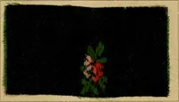 An illustration from The coal tar colours of Farbwerke vorm. Meister, Lucius & Brüning, Hoechst on Main, Germany, and their application in wool dyeing (1910)