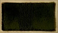 An illustration from The coal tar colours of Farbwerke vorm. Meister, Lucius & Brüning, Hoechst on Main, Germany, and their application in wool dyeing (1910)