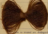 An illustration from The coal tar colours of Farbwerke vorm. Meister, Lucius & Brüning, Hoechst on Main, Germany, and their application in wool dyeing (1910)