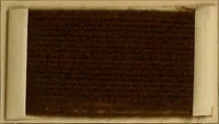 An illustration from The coal tar colours of Farbwerke vorm. Meister, Lucius & Brüning, Hoechst on Main, Germany, and their application in wool dyeing (1910)