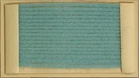 An illustration from The coal tar colours of Farbwerke vorm. Meister, Lucius & Brüning, Hoechst on Main, Germany, and their application in wool dyeing (1910)