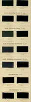 An illustration from The coal tar colours of Farbwerke vorm. Meister Lucius & Brüning, Hoechst on Main, Germany and their application in wool dyeing (1910)
