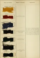 An illustration from The coal tar colours of Farbwerke vorm. Meister Lucius & Brüning, Hoechst on Main, Germany and their application in wool dyeing (1910)