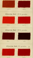 An illustration from The coal tar colours of Farbwerke vorm. Meister Lucius & Brüning, Hoechst on Main, Germany and their application in wool dyeing (1910)