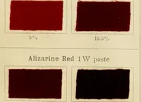 An illustration from The coal tar colours of Farbwerke vorm. Meister Lucius & Brüning, Hoechst on Main, Germany and their application in wool dyeing (1910)