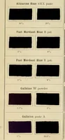 An illustration from The coal tar colours of Farbwerke vorm. Meister Lucius & Brüning, Hoechst on Main, Germany and their application in wool dyeing (1910)