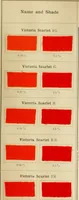 An illustration from The coal tar colours of Farbwerke vorm. Meister Lucius & Brüning, Hoechst on Main, Germany and their application in wool dyeing (1910)