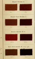 An illustration from The coal tar colours of Farbwerke vorm. Meister Lucius & Brüning, Hoechst on Main, Germany and their application in wool dyeing (1910)
