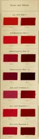 An illustration from The coal tar colours of Farbwerke vorm. Meister Lucius & Brüning, Hoechst on Main, Germany and their application in wool dyeing (1910)