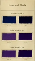 An illustration from The coal tar colours of Farbwerke vorm. Meister Lucius & Brüning, Hoechst on Main, Germany and their application in wool dyeing (1910)