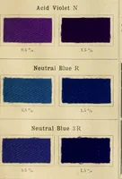 An illustration from The coal tar colours of Farbwerke vorm. Meister Lucius & Brüning, Hoechst on Main, Germany and their application in wool dyeing (1910)