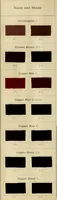 An illustration from The coal tar colours of Farbwerke vorm. Meister Lucius & Brüning, Hoechst on Main, Germany and their application in wool dyeing (1910)