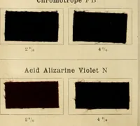 An illustration from The coal tar colours of Farbwerke vorm. Meister Lucius & Brüning, Hoechst on Main, Germany and their application in wool dyeing (1910)