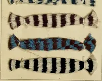 Picture 29 of 56 from The coal tar colours of Farbwerke vorm. Meister Lucius & Brüning : Hoechst on Main : and their application in dyeing cotton and other vegetable fibres (1907), leaf 110