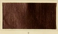 Picture 55 of 56 from The coal tar colours of Farbwerke vorm. Meister Lucius & Brüning : Hoechst on Main : and their application in dyeing cotton and other vegetable fibres (1907), leaf 145