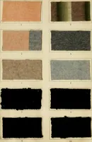 Picture 5 of 56 from The coal tar colours of Farbwerke vorm. Meister Lucius & Brüning : Hoechst on Main : and their application in dyeing cotton and other vegetable fibres (1907), leaf 45