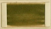 Picture 19 of 30 from The coal tar colours of Farbwerke vorm. Meister Lucius & Brüning, Hoechst on Main, Germany and their application in wool dyeing (1910), leaf 114