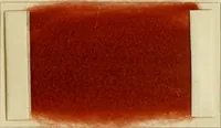 Picture 20 of 30 from The coal tar colours of Farbwerke vorm. Meister Lucius & Brüning, Hoechst on Main, Germany and their application in wool dyeing (1910), leaf 116