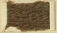 An illustration from The coal tar colours of Farbwerke vorm. Meister Lucius & Brüning, Hoechst on Main, Germany and their application in wool dyeing (1910)