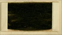 Picture 30 of 30 from The coal tar colours of Farbwerke vorm. Meister Lucius & Brüning, Hoechst on Main, Germany and their application in wool dyeing (1910), leaf 146