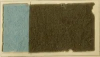 Picture 6 of 30 from The coal tar colours of Farbwerke vorm. Meister Lucius & Brüning, Hoechst on Main, Germany and their application in wool dyeing (1910), leaf 46