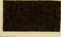 Picture 8 of 30 from The coal tar colours of Farbwerke vorm. Meister Lucius & Brüning, Hoechst on Main, Germany and their application in wool dyeing (1910), leaf 51