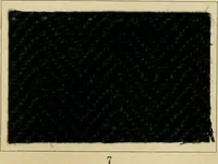 Picture 120 of 157 from The coal tar colours of Farbwerke vorm. Meister Lucius & Brüning : Hoechst on Main : and their application in dyeing cotton and other vegetable fibres (1907), leaf 100
