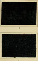 Picture 121 of 157 from The coal tar colours of Farbwerke vorm. Meister Lucius & Brüning : Hoechst on Main : and their application in dyeing cotton and other vegetable fibres (1907), leaf 100