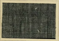 An illustration from The coal tar colours of Farbwerke vorm. Meister Lucius & Brüning : Hoechst on Main : and their application in dyeing cotton and other vegetable fibres (1907)