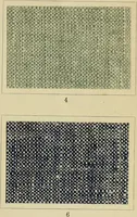 Picture 126 of 157 from The coal tar colours of Farbwerke vorm. Meister Lucius & Brüning : Hoechst on Main : and their application in dyeing cotton and other vegetable fibres (1907), leaf 102